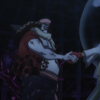 Pirate Alliance One Piece Wiki Fandom