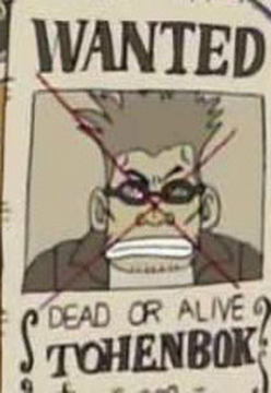 Wanted Posters, One Piece Wiki, Fandom