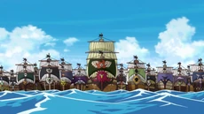 Alianza Anti-Sombrero de Paja