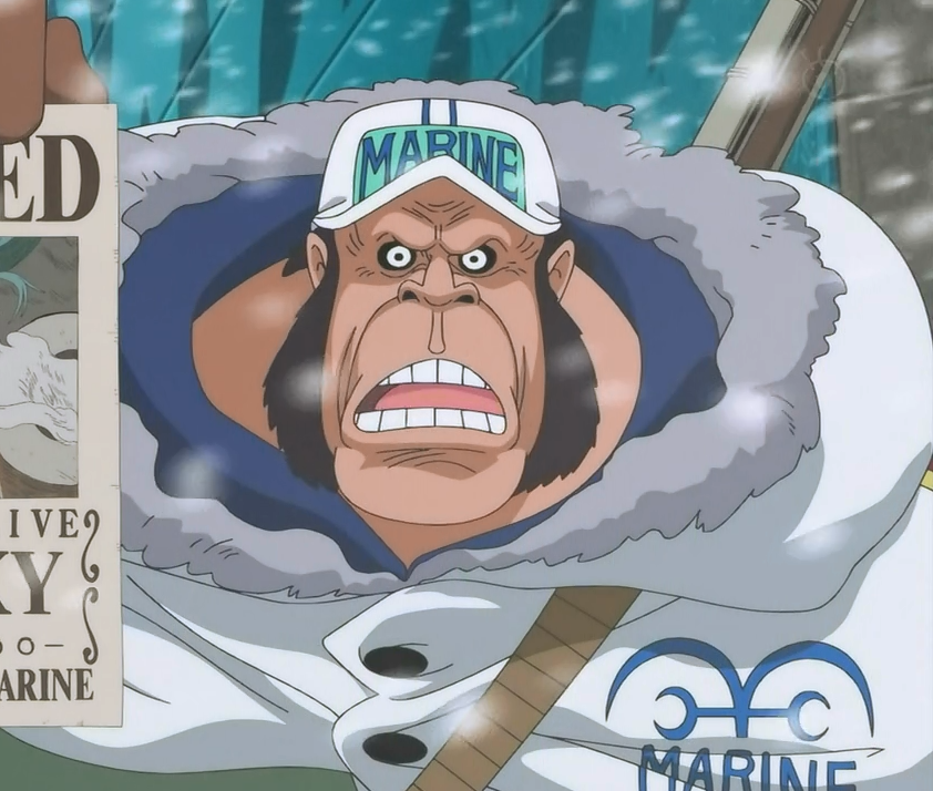 Captain (Marine Rank), One Piece Wiki