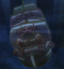 Gyro Pirates | One Piece Wiki | Fandom