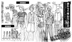 One Piece, Banda al completo de Mugiwara, rojas_pk