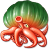 Pumpkin Octopus