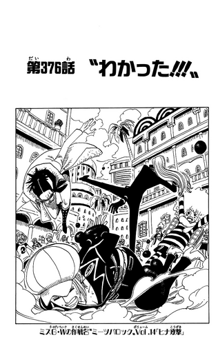 Chapter 376