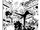 Chapter 376