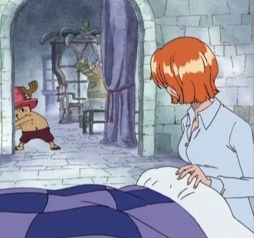 Nami will get sick again (just like after Little Garden Arc