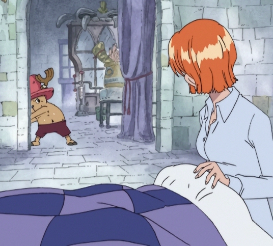 Nami will get sick again (just like after Little Garden Arc