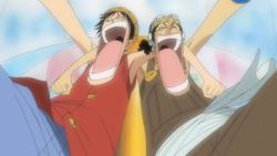 Luffy and Usopp Together