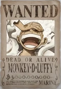 Luffy's Wanted Poster.