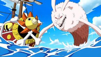 Umiusagi und Thousand Sunny