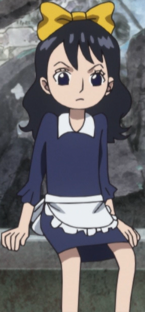 Baby 5 One Piece Wiki Fandom