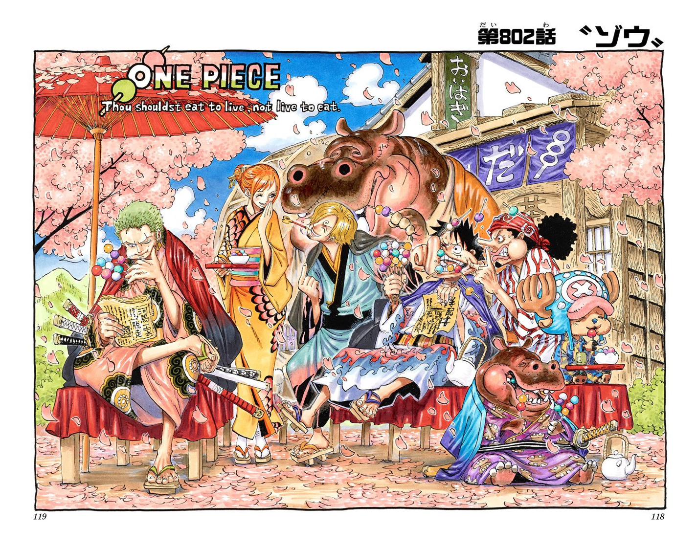 Glava 802 One Piece Wiki Fandom
