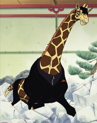 Kaku giraffa