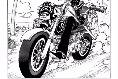 Chapter 857 | One Piece Wiki | Fandom