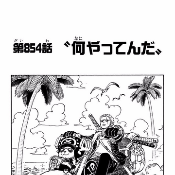 Chapter 854 One Piece Wiki Fandom