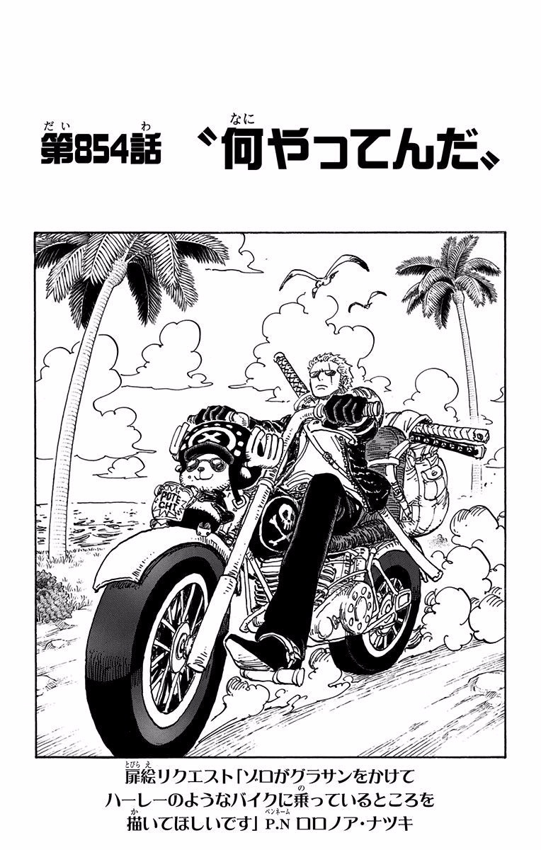 Chapter 854 One Piece Wiki Fandom