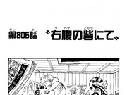 Chapter 806 One Piece Wiki Fandom