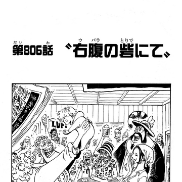 Chapter 806 One Piece Wiki Fandom