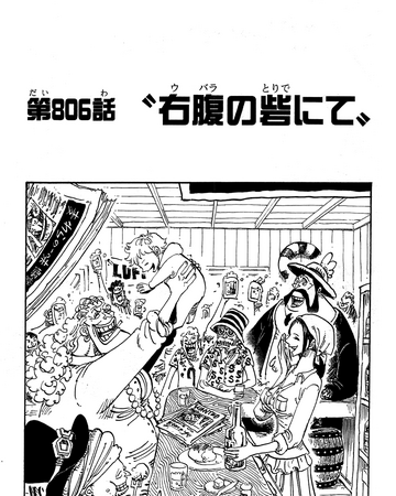 Chapter 806 One Piece Wiki Fandom