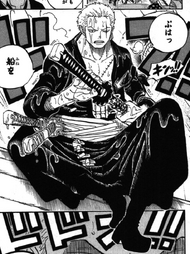 Zoro Got on the Wrong Ship