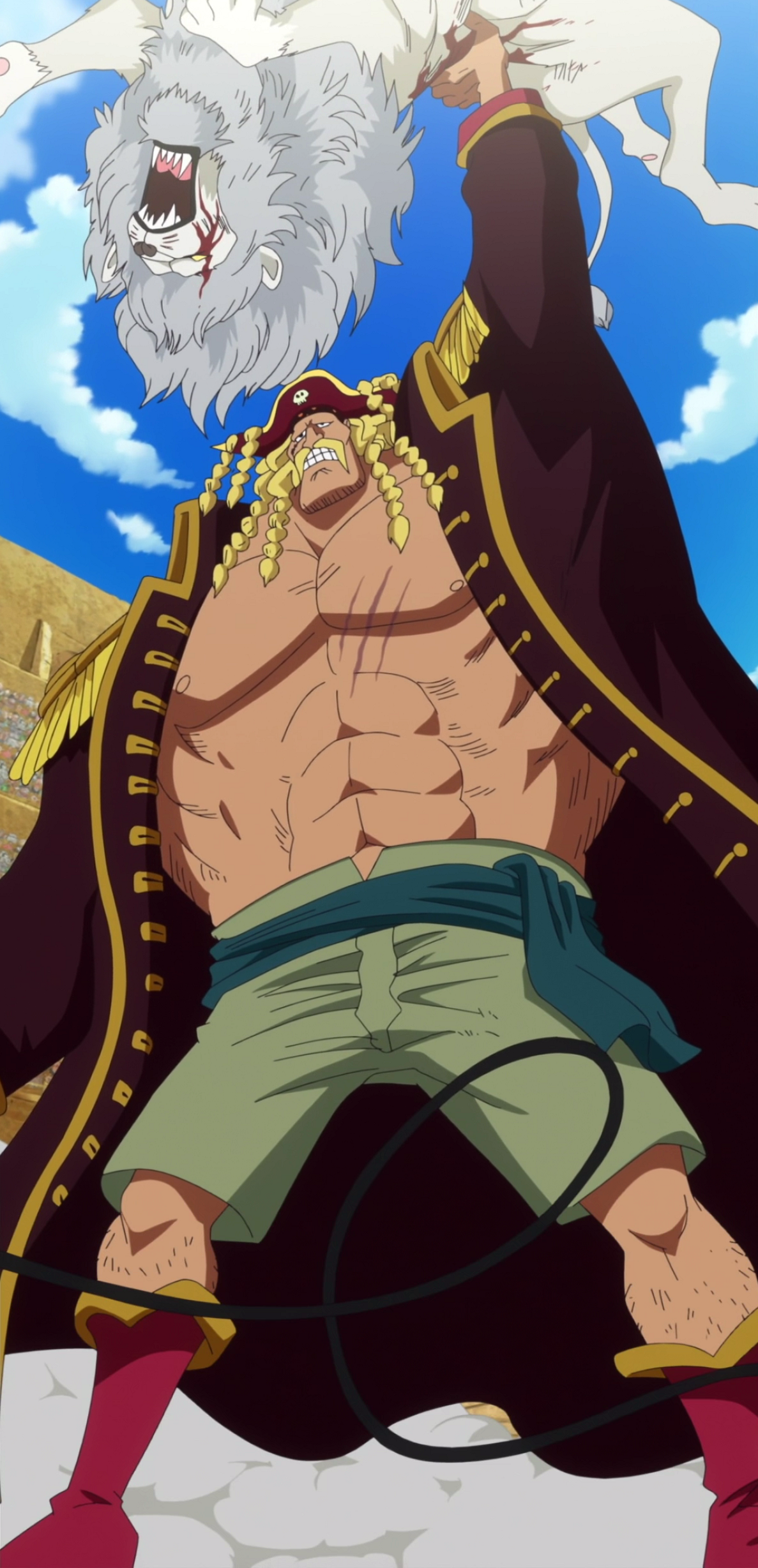 Admiral, One Piece Wiki