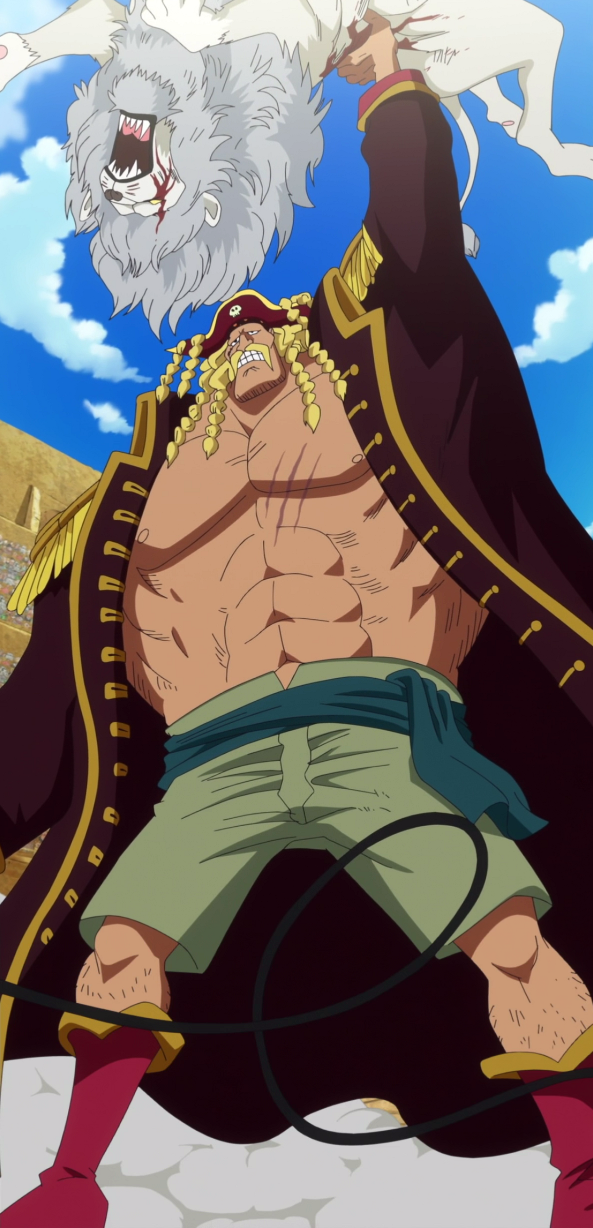 One Piece: Great Pirate Colosseum, One Piece Wiki