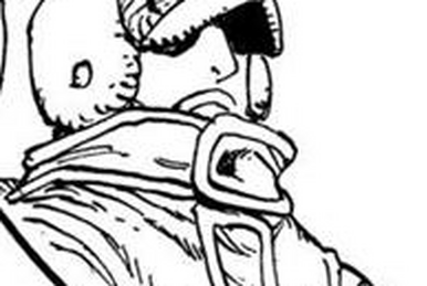 ワンピース Penguin sama Penguin (One Piece) | Charactah