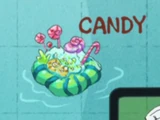 Candy