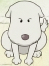 Chouchou as a Puppy.png