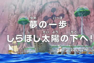 One Piece - País de Wano (892 em diante) Vinte Anos Inteiros de