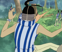 Little Garden, One Piece Wiki