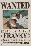 Wanted Posters One Piece Wiki Fandom