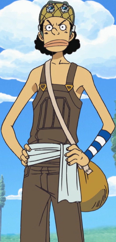 Usopp/History, One Piece Wiki