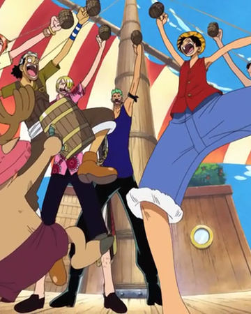 A To Z One Piece Wiki Fandom