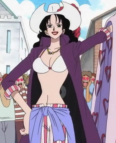 Sube Sube no Mi, One Piece Wiki