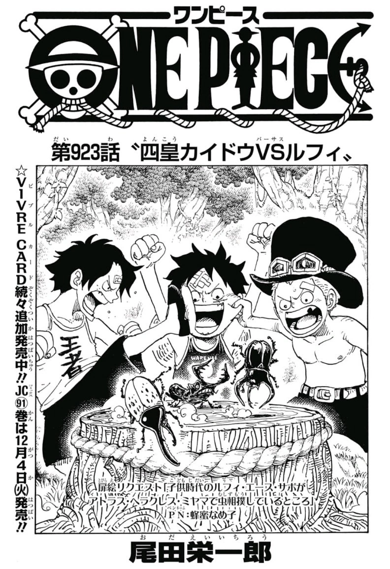 Glava 923 One Piece Wiki Fandom