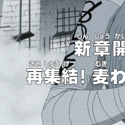 Category Return To Sabaody Arc Episodes One Piece Wiki Fandom