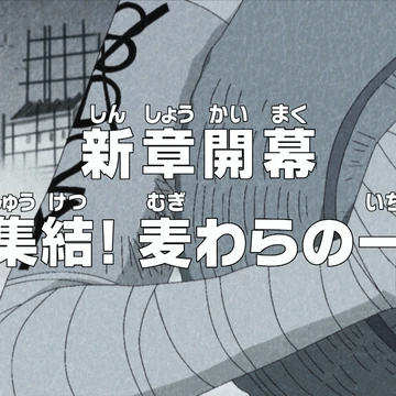 Episode 517 One Piece Wiki Fandom Episode 517 One Piece Wiki Fandom