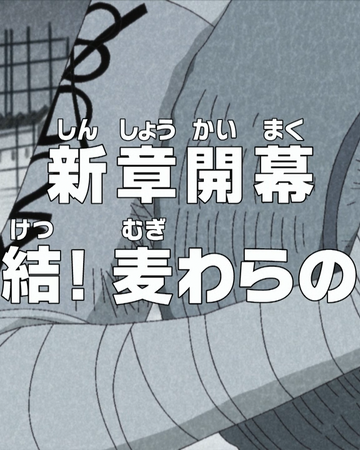 Episode 517 One Piece Wiki Fandom Episode 517 One Piece Wiki Fandom