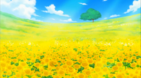 Le Champ de Fleurs Anime Infobox 