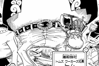 Kokoro (One Piece) - Desciclopédia