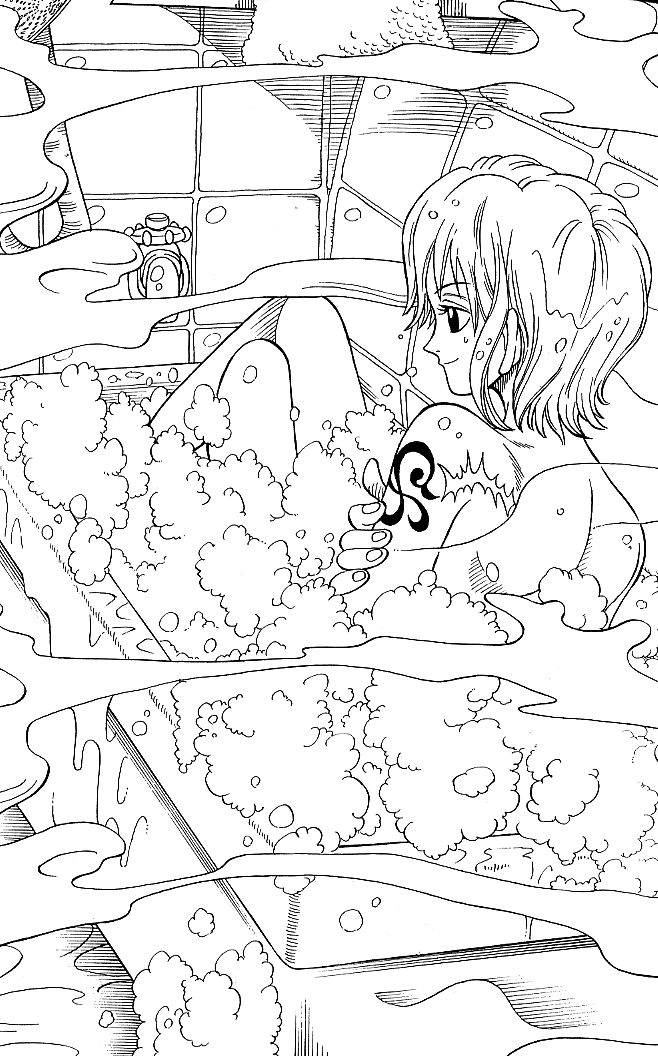 Nami Misc One Piece Wiki Fandom Nami Misc One Piece Wiki Fandom
