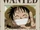 Monkey D. Luffy/Galería