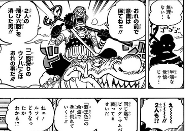 One Piece Chapter 1021: Demonio, Page 14