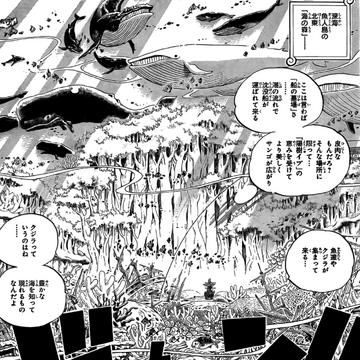 Sea Forest One Piece Wiki Fandom Sea Forest One Piece Wiki Fandom