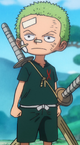 Zoro at age 8