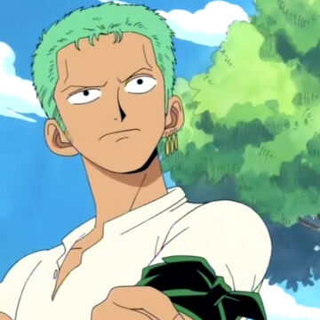 Roronoa Zoro Onepiecepedia Fandom