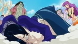 One Piece A Ilha dos Homens-Peixe será Aniquilada? A Profecia de Shyarly! -  Assista na Crunchyroll