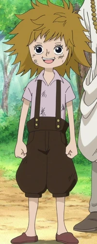 Koala | One Piece Wiki | Fandom