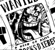 List gończy Rocksa.